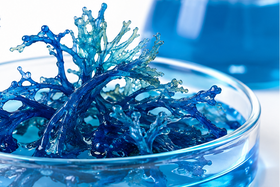 Blue Algae Extract